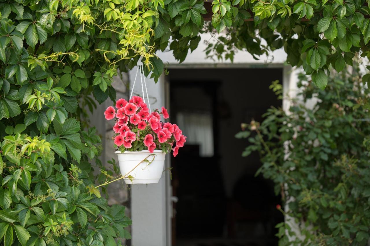 Kuca Za Odmor Joko I Jeka Villa Bogatic Exterior photo
